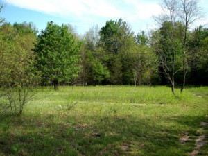 Along a path between areas of woods