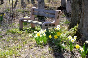 Flowers by one of the benches 
